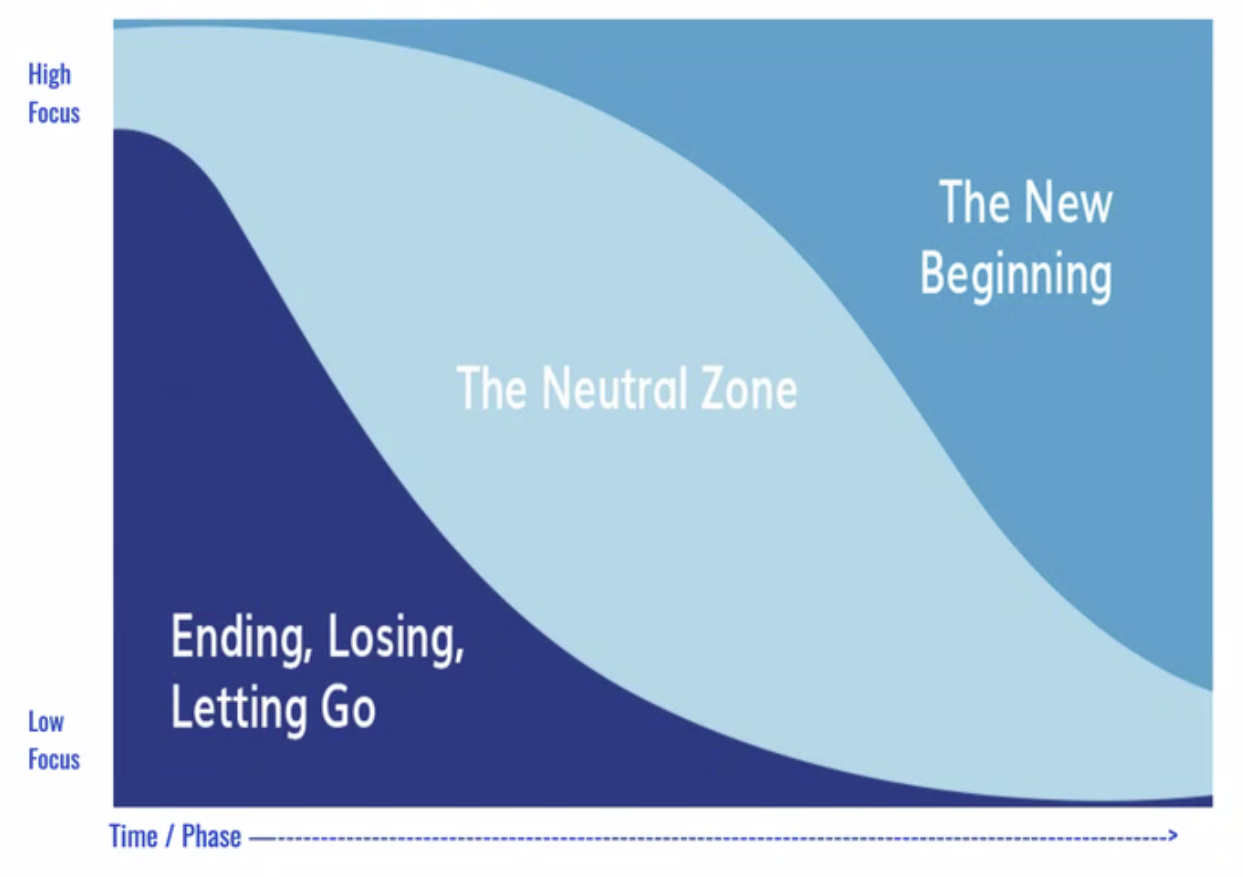 Chart of the Transition Model: from Ending and Letting Go, through the Neutral Zone, to the New Beginning.